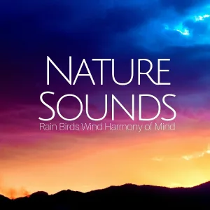 Aromatherapy Fragrance & Spa & Spa - Soothing Music