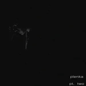 plenka - Observer