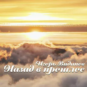 Игорь Виданов - Пингвин