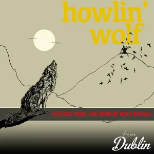 Howlin' Wolf - How Many More Years