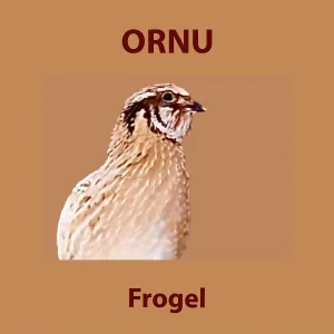 Ornu - Prepelica