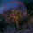 The Moody Blues - In The Beginning