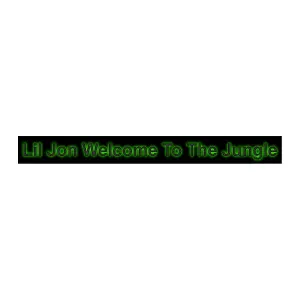 Lil Jon - Welcome To The Jungle