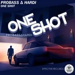 PROBASS ∆ HARDI - ONE SHOT