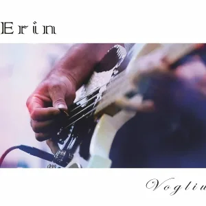 ERIN - The Killer of Rock'n Roll