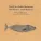 North Sea Radio Orchestra feat. John Greaves, Annie Barbazza - Little Red Riding Hood Hit The Road