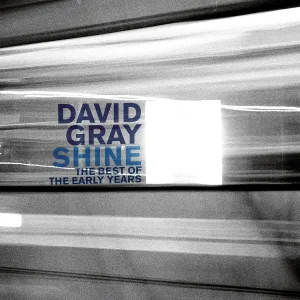 David Gray - Faster, Sooner, Now