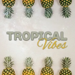 Ibiza Lounge Club - Tropical Bass