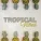 Ibiza Lounge Club - Tropical Bass