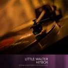 Little Walter - Roller Coaster