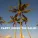Ibiza Dance Party - Cocktail del Mar