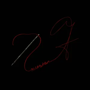 KVESTAR - иголка