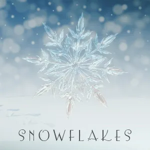 Narcotic Chill - Snowflakes