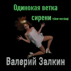Валерий Залкин - Одинокая ветка сирени