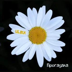 ULIKA - Прогадала