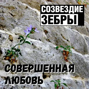 Созвездие Зебры - Не уйти