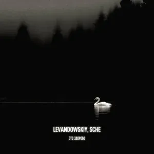 Levandowskiy, SCHE - Это здорово