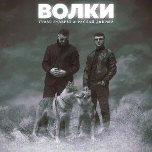 Руслан Добрый, Tural Everest - Волки