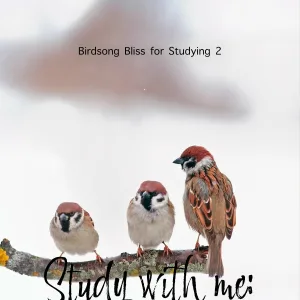 Bryan Maxwell - Birdsong Bliss for Studying, Pt. 2