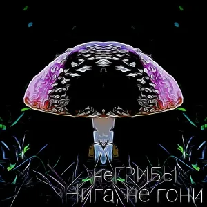 неГРИБЫ - Нига, не гони