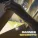 DANNEE - SECRETS