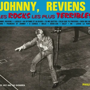 Johnny Hallyday - Celui que tu préfères