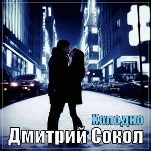 Дмитрий Сокол - Холодно