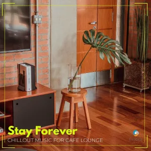 Pause & Play - Mystify
