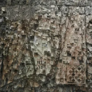 7F7F7F - Square with diagonal