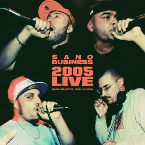 Bassi Maestro, DJ Zeta, Cricca Dei Balordi - Definitivi