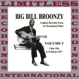 Big Bill Broonzy - You Drink Too Much