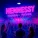 FONARI, Degede - Hennessy