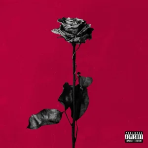 blackbear - Idfc