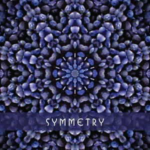 Kelly Bryarly - Scintillation
