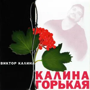 Виктор Калина - Не значит