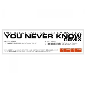 Patric la Funk feat. Corey Andrew - You never know