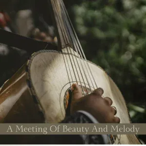 Symphony Orchestra Meditation And Relaxation - A Perfect Fusion