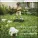 Snow Patrol - Downhill from Here