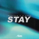 KILLTEQ, D.HASH - Stay