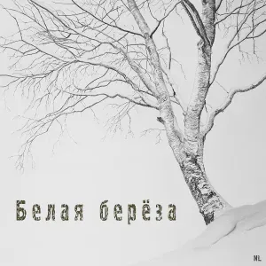 NL - Белая берёза