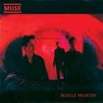 Muse - Muscle Museum