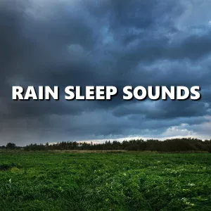 Deep Sleep - Rousing Morning Rainfall Sounds
