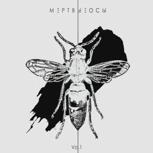 Мёртвые Осы - Контроль