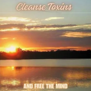Symphony Orchestra Anti-Stress Sound - Helps Detoxify The Soul