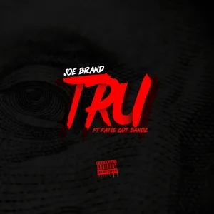 Joe Brand feat. Katie Got Bandz - Tru
