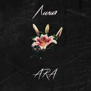 Ara - Лилия