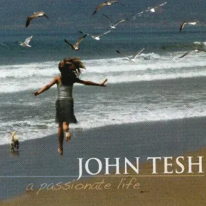 John Tesh - Desert Rose