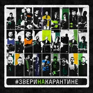 Звери - Пацифист