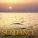 Chillout - Nightfall Resonance