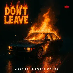 LIQSAIDE, Diamond Maniac - Don't Leave
